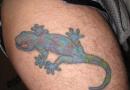 Lizard tattoo: meaning, choice of place of application