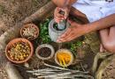 Herbs that are victorious for luxuriance in Ayurveda
