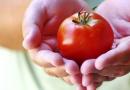 Korist a Skoda paradajka pre telo: kalórie, kontraindikácie Paradajka chemické skladovanie a potravinová hodnota