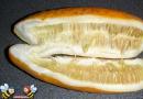 Paano pumili ng isang gulay mula sa isang zucchini