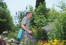 Ammoniac : comment l'utiliser au jardin et en ville